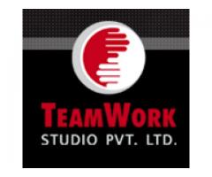Teamworks Studio